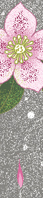 2009.10　「Ma pièce vol.4 - 花を添えて」